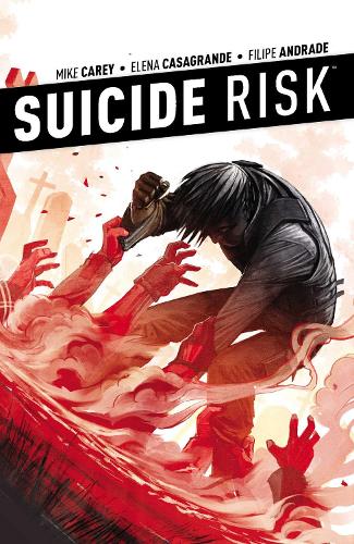 Suicide Risk Vol. 4 Volume 4