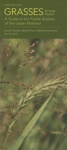Grasses in Your Pocket