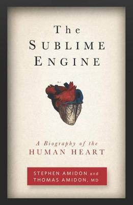 The Sublime Engine