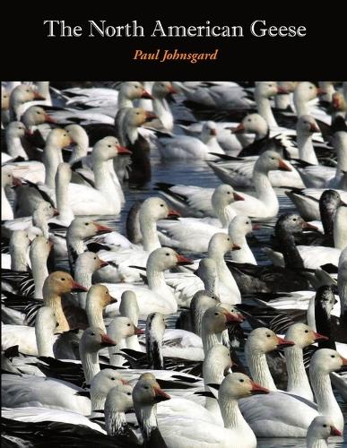 The North American Geese