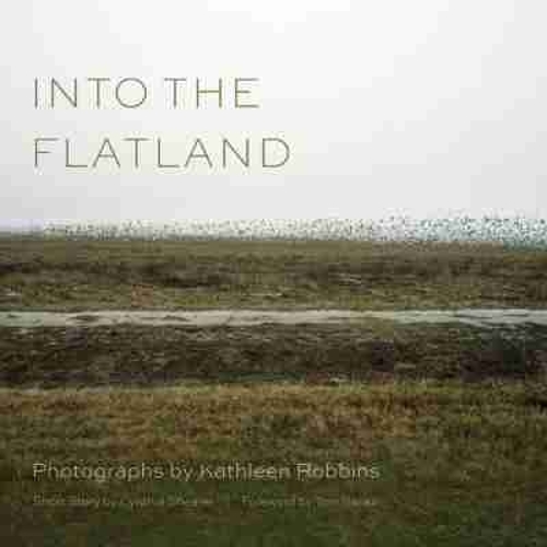 Into the Flatland