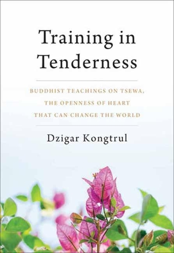 Training in Tenderness