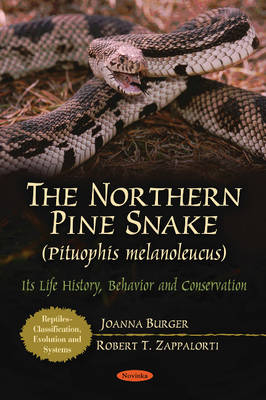 Northern Pine Snake (Pituophis Melanoleucus)