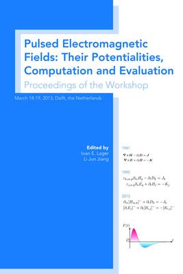 Pulsed Electromagnetic Fields: Their Potentialities, Computation and Evaluation