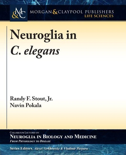Neuroglia in C. elegans