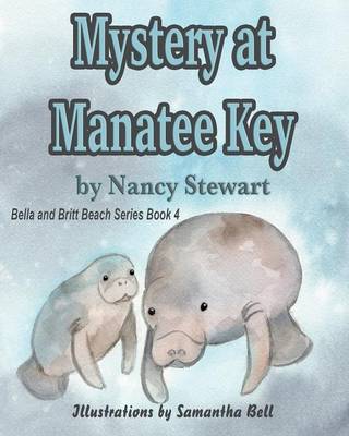 Mystery at Manatee Key