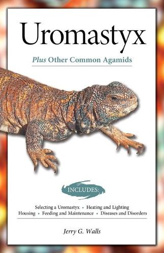 Uromastyx (Advanced Vivarium Systems)