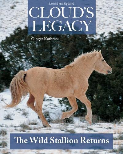 Cloud's Legacy
