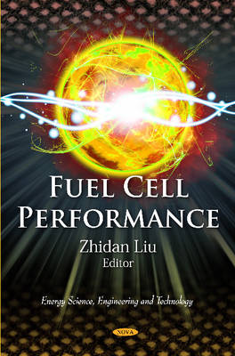 Fuel Cell Peformance