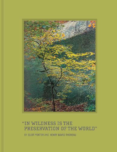 In Wildness
