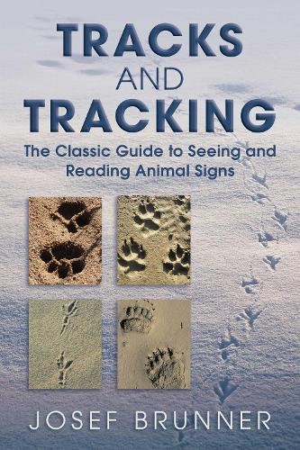 Tracks and Tracking