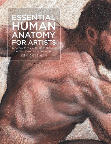 Essential Human Anatomy for Artists Volume 9