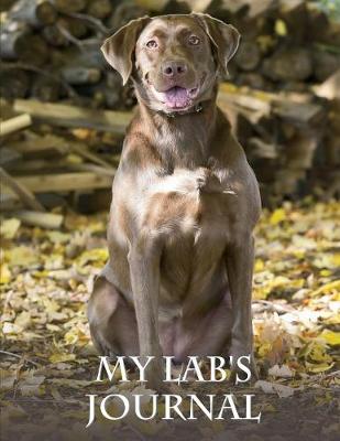 My Lab's Journal