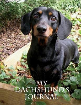 My Dachshund's Journal