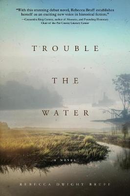 Trouble The Water