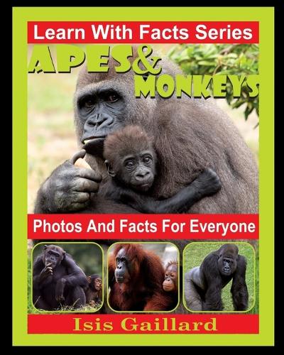 Apes and Monkeys Photos and Facts for Everyone