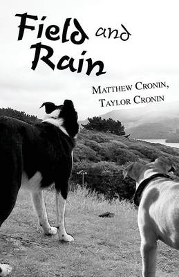Field and Rain