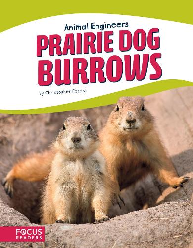 Prairie Dog Burrows