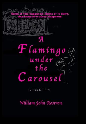 A Flamingo Under the Carousel
