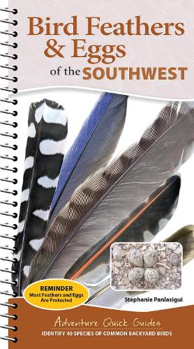 Bird Feathers & Eggs of the Southwest