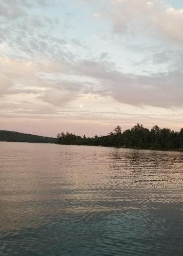 Cloudy Bay Journal