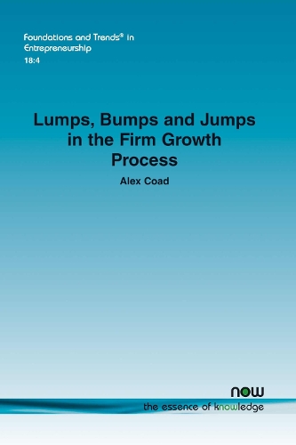 Lumps, Bumps and Jumps in the Firm Growth Process