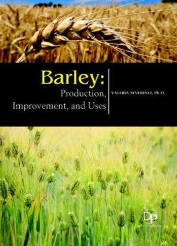 Barley