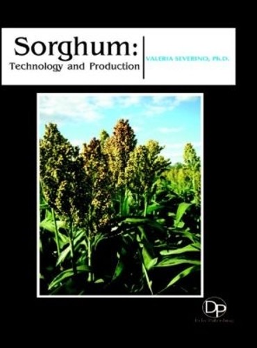 Sorghum