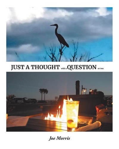 Just a Thought with a Question or Two