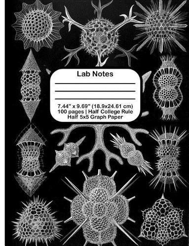 Lab Notes
