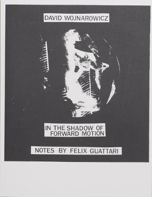 David Wojnarowicz: In the Shadow of Forward Motion