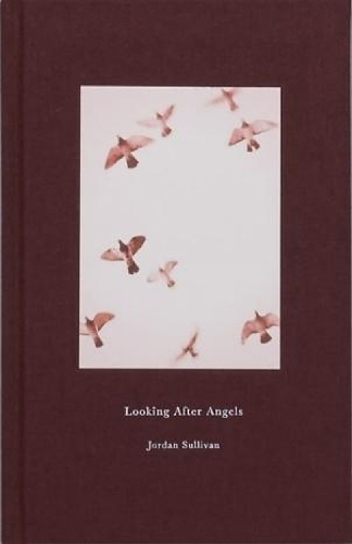 Looking After Angels