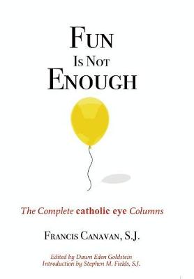 Fun is Not Enough