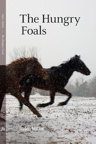 The Hungry Foals