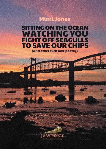 Sitting on the Ocean Watching You Fight Off Seagulls to Save Our Chips