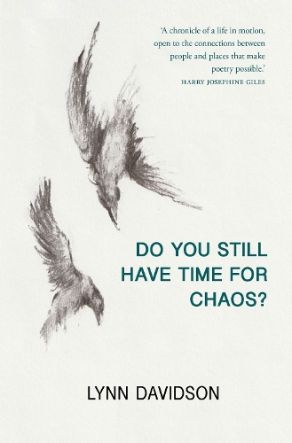 Do You Still Have Time For Chaos?