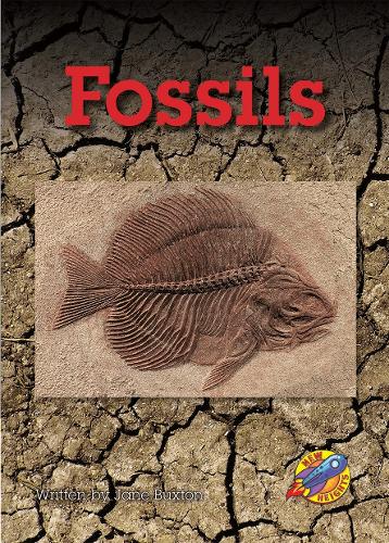 Fossils