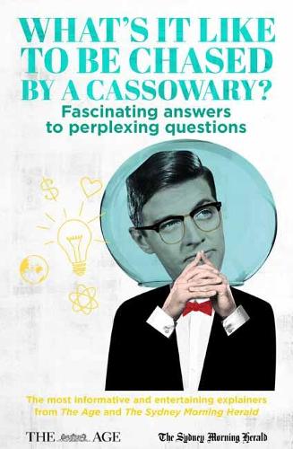 What’s it Like to be Chased by a Cassowary?