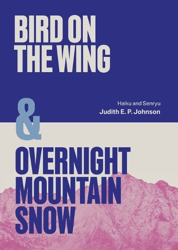 Birds on the Wing and Overnight Mountain Snow