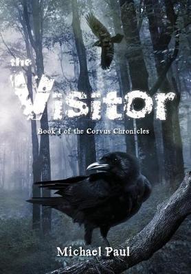 The Visitor