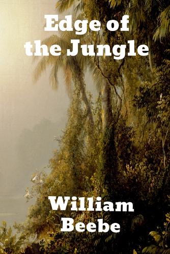 Edge of the jungle