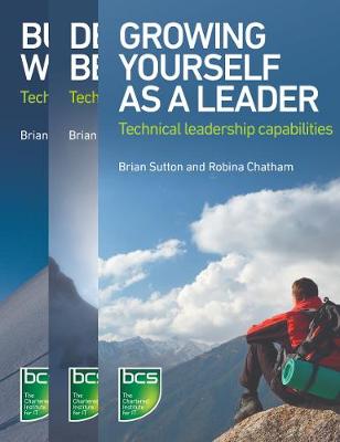 Leadership in IT bundle
