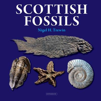 Scottish Fossils