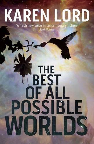 The Best of All Possible Worlds