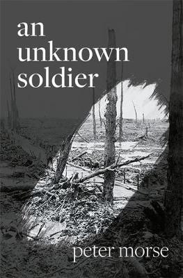 An Unknown Soldier