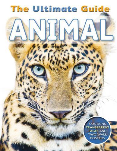 Animal