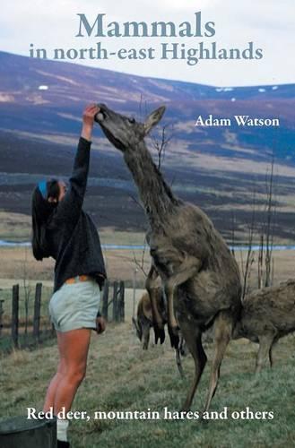 Mammals in north-east Highlands