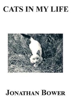 Cats in My Life