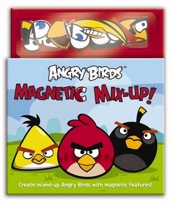 Magnetic Mix-Up!