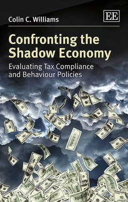 Confronting the Shadow Economy